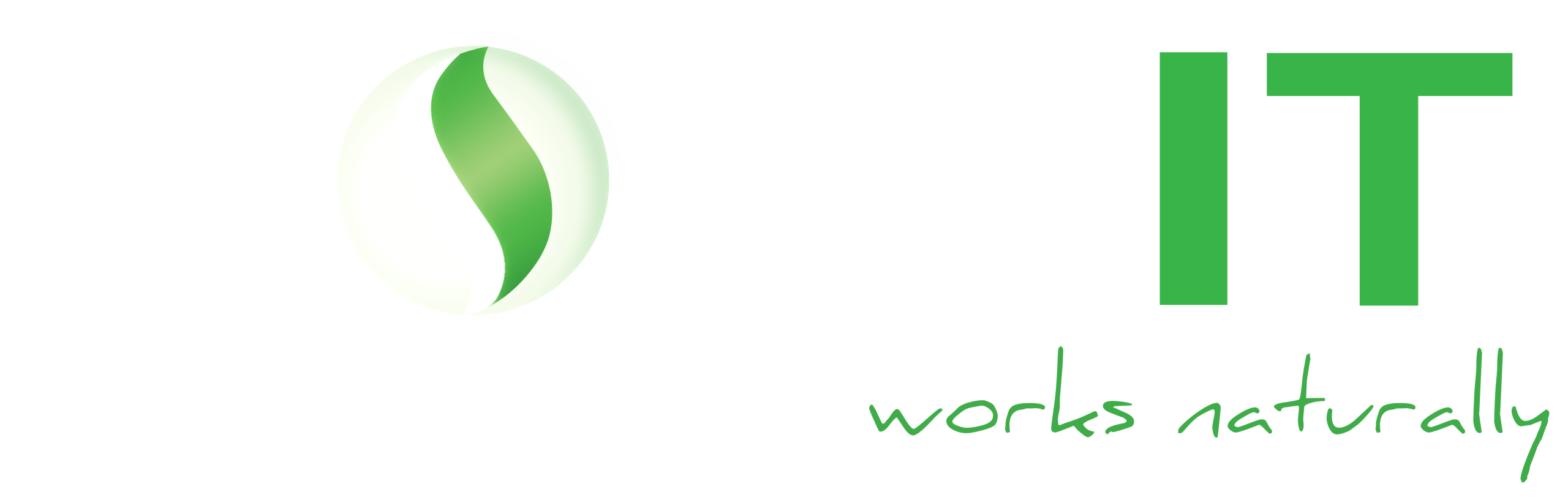 Solvit logo white
