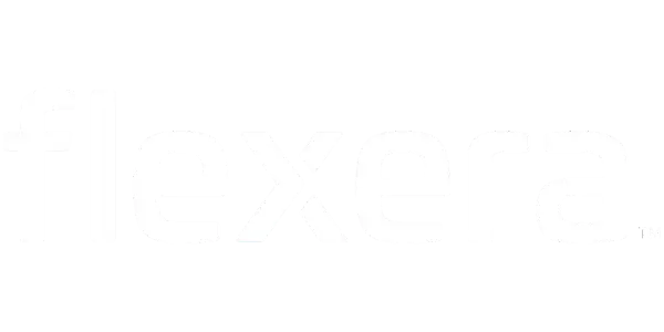 flexera one